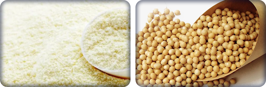 ประโยชน์ของโปรตีน ไอโซเลท